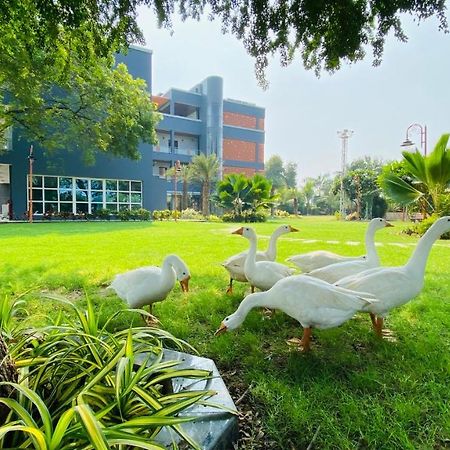 Krishna Riverside Resort Vasad Экстерьер фото