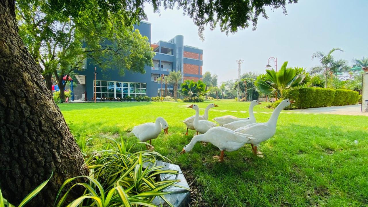 Krishna Riverside Resort Vasad Экстерьер фото